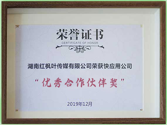 優(yōu)秀合作伙伴獎 (2).jpg